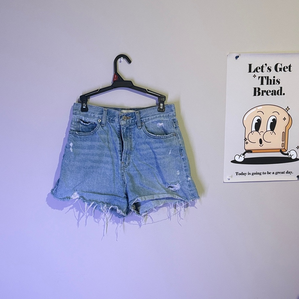 Urban Outfitters Light Blue Frayed Jean Shorts